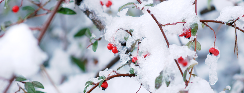 Lapsiperheiden tukena